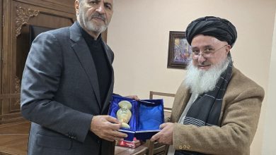 دیدار سفیر ایران و وزیر اقتصاد؛ تأکید بر گسترش روابط و همکاری‌های دو جانبه