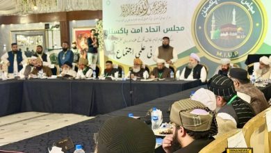 نشست اتحاد امت پاکستان خواستار جلوگیری از اعزام نیرو به غزه شد