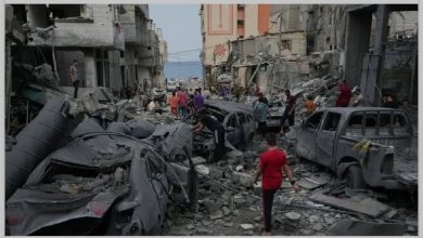 مردم هرات بیش از ۴۲ میلیون افغانی کمک نقدی و ۱۱۴ محموله به غزه ارسال کردند