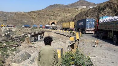 زیان ۶۰۰ میلیون دالری بازرگانان افغانستان از بسته‌شدن مرزها