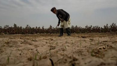 سازمان ملل: خشکسالی‌های پی‌درپی اراضی افغانستان را در آستانه فروپاشی قرار داده است