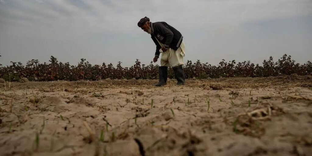 سازمان ملل: خشکسالی‌های پی‌درپی اراضی افغانستان را در آستانه فروپاشی قرار داده است