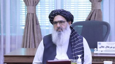 وزیر صحت طالبان به هند میرود