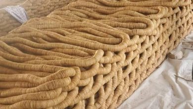 جهش صادرات انجیر افغانستان؛ درآمد ۲۱۴ میلیون دالری در هشت ماه