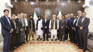 نقش سرمایه‌گذاران افغانستانی در اقتصاد ایران و رویکرد جدید تهران