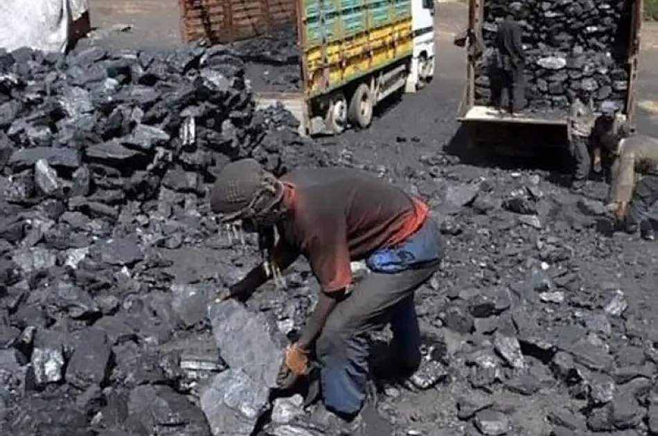 افزایش قیمت مواد سوختی در غزنی