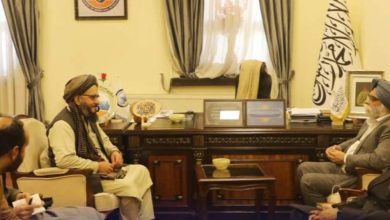 معادن‌افغانستان مورد توجه سرمایه‌گذاران هندی