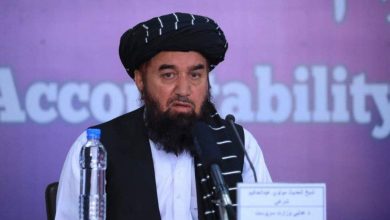 انکار اتهامات خانوادگی از سوی وزیر عدلیه طالبان همزمان با موج مصادره زمین‌ها