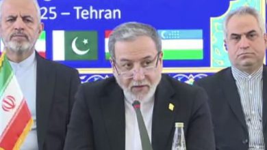 عراقچی: نسخههای فرامنطقهای ثبات افغانستان را تضمین نمیکند