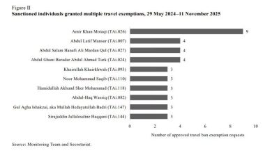 شورای امنیت: رهبران طالبان در ۱۸ ماه گذشته ۳۸ معافیت سفر دریافت کردهاند