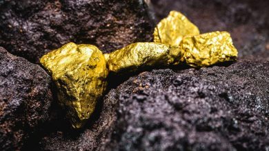 پیش‌بینی تازه گلدمن ساکس؛ جهش ۱۴ درصدی طلا و چشم‌انداز متفاوت برای مس و انرژی