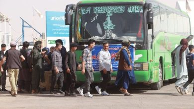 کاهش ۱۷ درصدی جمعیت پناهجویان افغانستان در خارج از کشور