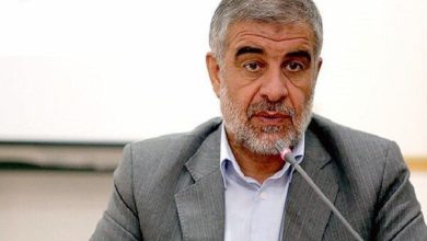 سازمان ملی مهاجرت ایران: ورود اتباع خارجی صرفاً بر اساس نیاز کشور خواهد بود