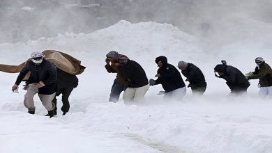 سرما و مهاجران غیر‌قانونی؛ مرزبانان ایران جان بیش از 2 هزار افغانستانی را نجات دادند