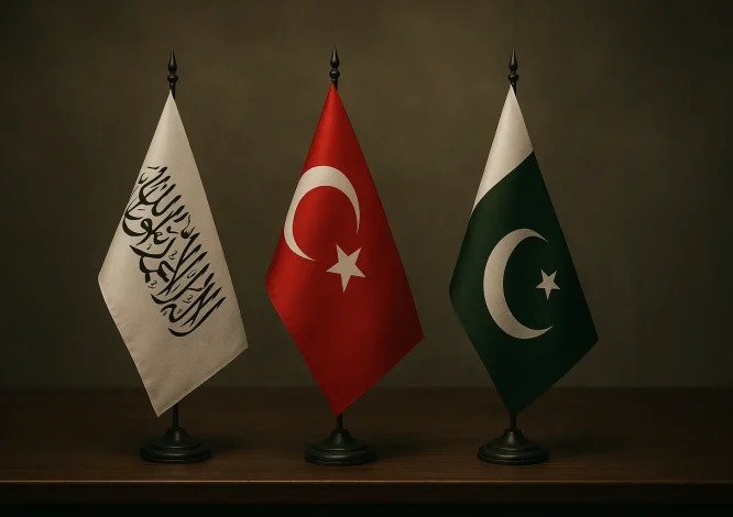 میانجیگری ترکیه و عربستان برای کاهش تنشهای افغانستان و پاکستان شکست خورد