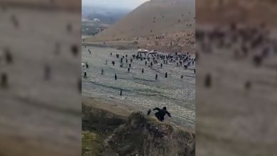 درگیری در معدن طلای تخار؛ چهار کشته و پنج زخمی بر جا ماند