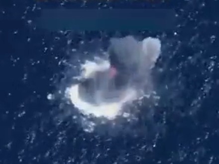 حمله هوایی در شرق اقیانوس آرام؛ عفو بینالملل: امریکا قاتل است