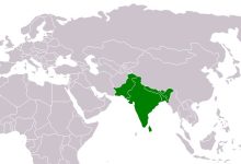 پول و سیاست؛ دو چرخ محرک پیشرفت در جنوب آسیا