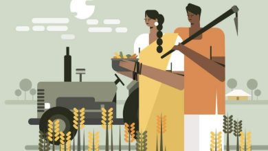 کشاورزی؛ هزینه پنهان شوک‌های تجاری پاکستان