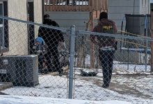 مقامات مهاجرتی امریکا برای بازداشت پدر، کودک ۵ ساله را «طعمه» کرد