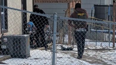 مقامات مهاجرتی امریکا برای بازداشت پدر، کودک ۵ ساله را «طعمه» کرد