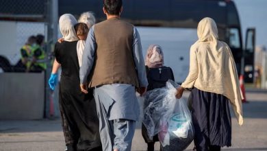 قاضی چاتکان: دولت ترامپ نمی‌تواند روند بررسی درخواست‌های اس‌آی‌وی را متوقف کند