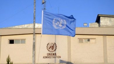 یوناما: عدالت اجتماعی در افغانستان بدون دسترسی برابر به کار و آموزش ممکن نیست