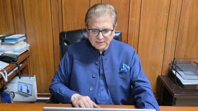 صادق به ایرگاشف: بیش از ۲۵۰۰ تروریست ازبیک در افغانستان مستقر هستند