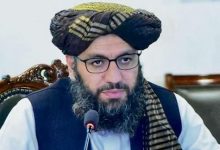 نور احمد نور، کاردار سفارت افغانستان در هند تعیین شد