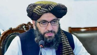 نور احمد نور، کاردار سفارت افغانستان در هند تعیین شد