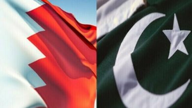 پاکستان بر حمایت از ابتکارات دیپلماتیک برای پایان درگیری‌ها در منطقه تأکید کرد