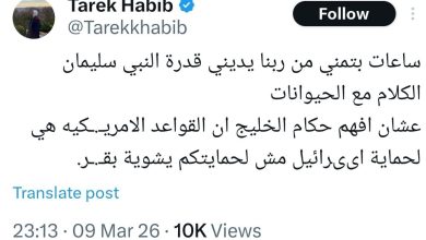 انتقاد تند اینفلوئنسر مصری از حاکمان عرب به‌دلیل میزبانی از پایگاه‌های آمریکا