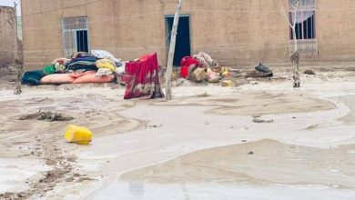 سیلاب‌های اخیر در هرات حدود ۸۰ خانواده را تحت تأثیر قرار داده است