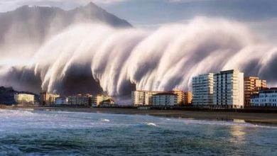 صدور هشدار سونامی پس از زلزله ۷.۶ ریشتری در نزدیکی تونگا