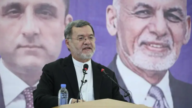 سرور دانش: فدرالیزم راه‌ حلی برای توزیع عادلانه قدرت است