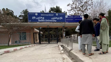 از جایگزینی اصطلاحات تا بحث هویت فرهنگی؛ نگاهی به رویکرد زبانی طالبان