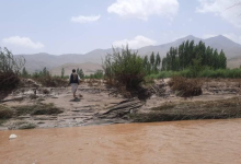 بیش از ۳۱ هزار نفر از اثر سیلاب‌ها در افغانستان آسیب دیده‌اند