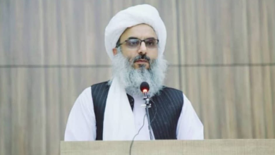 دو جمله دردناک والی هرات و انتقاد از دانشگاه‌های کشور