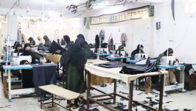 زنان بازگشته به کشور سرمایه‌گذاری در صنایع دستی و مواد غذایی را افزایش دادند