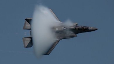 پدافند ايران دومین جنگنده پيشرفته آمريکا را سرنگون کرد