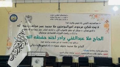 غیبت فارسی در لوحه رسمی؛ سهل‌انگاری یا جهت‌گیری زبانی؟