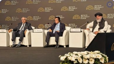 مجمع انتالیا؛ تاکید عزیزی بر ثبات اقتصادی و مهار قیمت سوخت