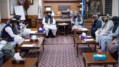 نشست بین‌وزارتی برای ساماندهی روند توزیع ویزه‌های کاری برگزار شد