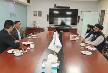 پیشنهاد سازوکار سه‌جانبه برای رسیدگی به امور مهاجران افغانستانی در ایران