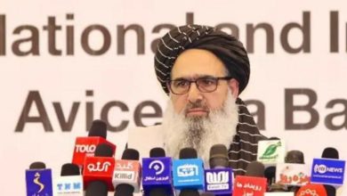 تأکید بر خودکفایی دارویی افغانستان در پایان نمایشگاه ابوعلی سینا