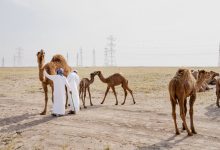 کویت در آستانه فروپاشی؛ توقف کامل نفت و بحران تأمین مایحتاج