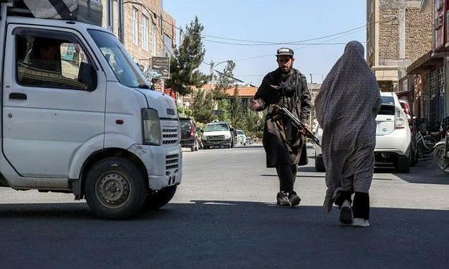 پزشکان بدون مرز و سازمان ملل خشونت علیه زنان در هرات را محکوم کردند