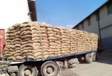 واردات غلات از قزاقستان به 2 میلیون تُن رسید