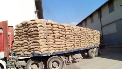 واردات غلات از قزاقستان به 2 میلیون تُن رسید