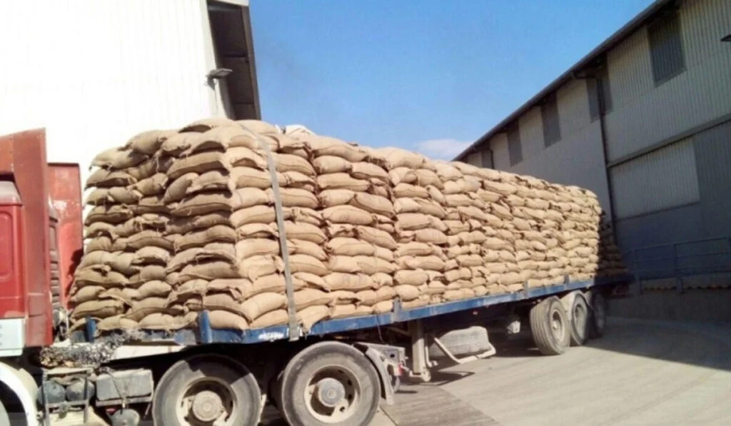 واردات غلات از قزاقستان به 2 میلیون تُن رسید